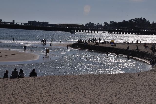 Santa Cruz beach